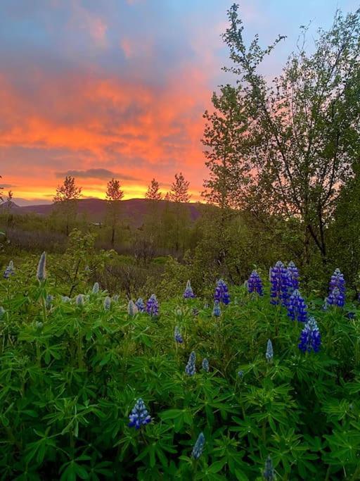 Luxury Cottage Located In The Golden Circle, Mountain View! Laugarvatn Esterno foto